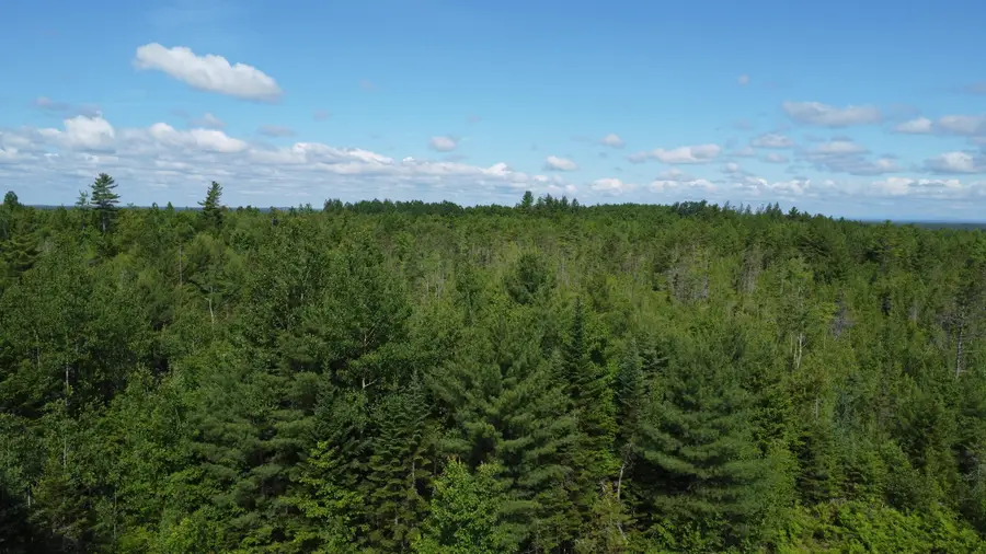 030-007 Off Cardville Road, Greenbush, ME 04418 - #2