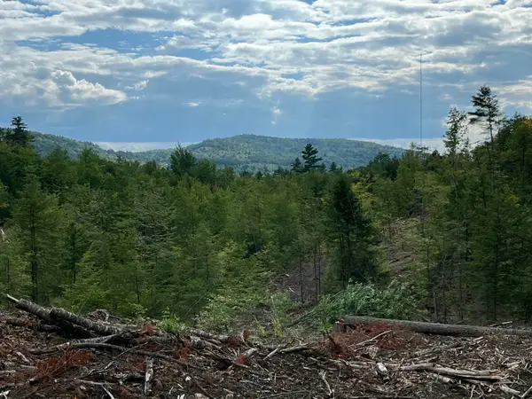 203 Robinson Hill Road, Sebago, ME 04029