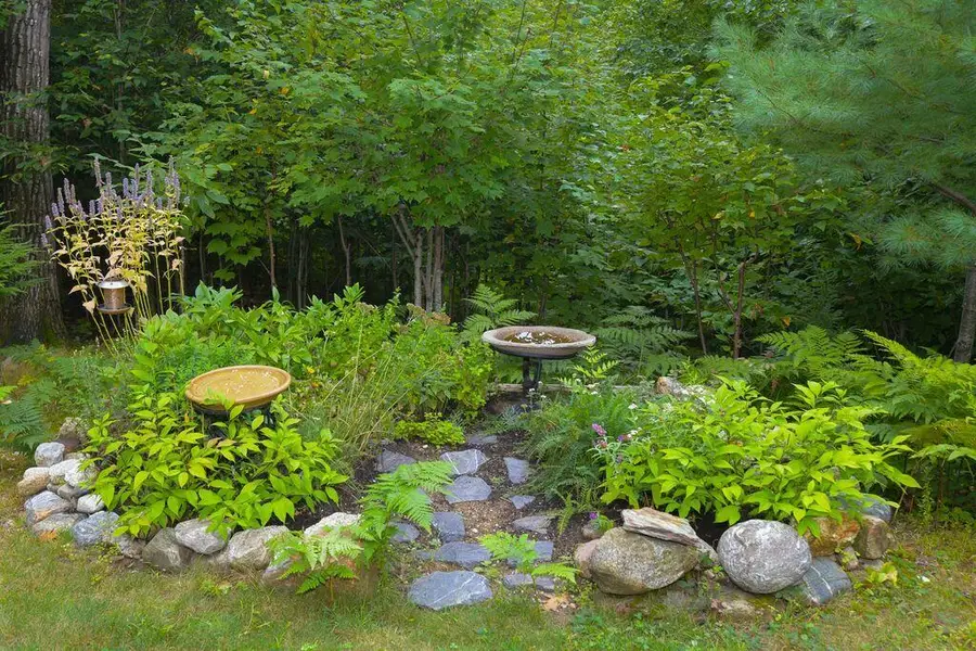 45 Littlefield Road, Stoneham, ME 04231 - #3