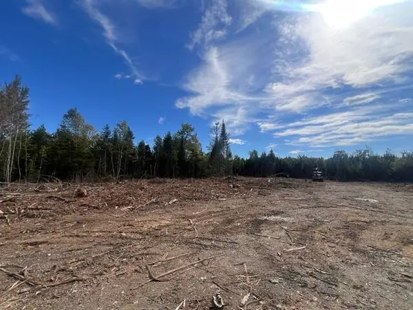 Lot 4.3 Off Estabrook Road, Cary Plt, ME 04471