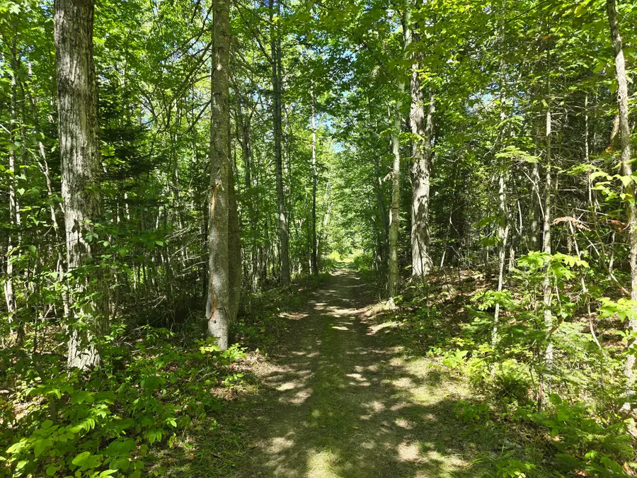 00  French Road, Levant, ME 04456 - #2