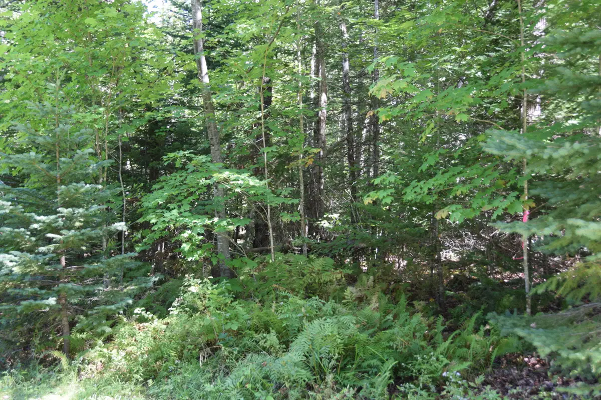 M11 L3-1  Nelson Hill Road, Athens, ME 04912 - #1