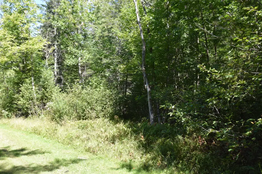 M11 L3-1  Nelson Hill Road, Athens, ME 04912 - #2