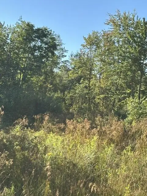 Map2 Lot30 Weeman Road, Detroit, ME 04929