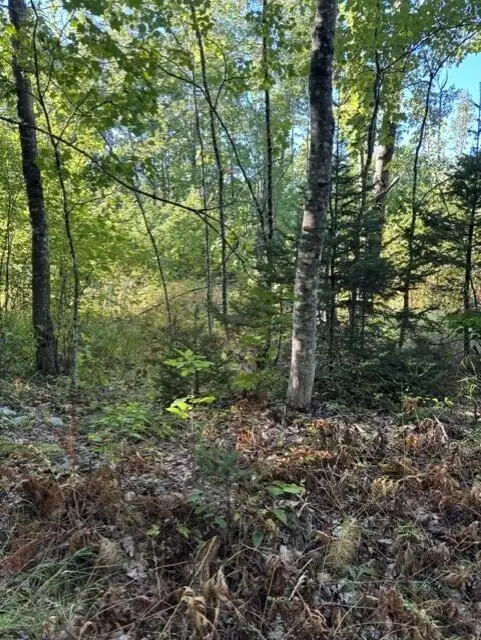 Map2 Lot30 Weeman Road, Detroit, ME 04929 - #2