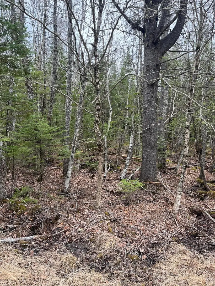 M6L9,10 Boundary Road, Orient, ME 04471 - #3