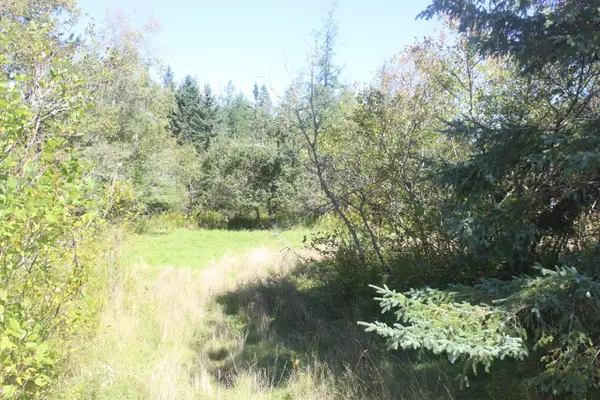193 Golding Road, Perry, ME 04667