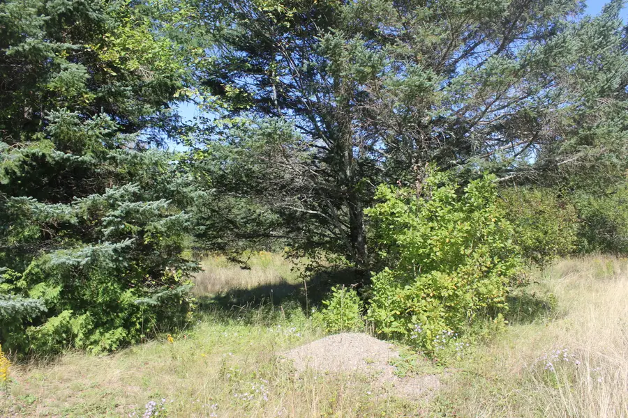 193 Golding Road, Perry, ME 04667 - #3