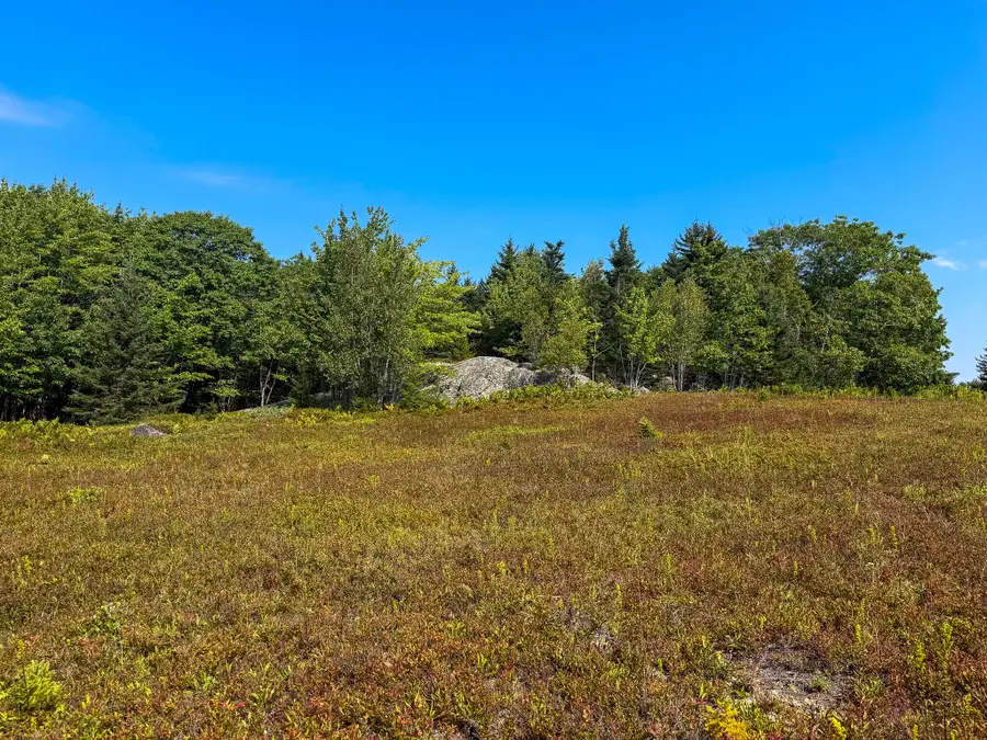 Lot 14 Off Bartlett Street, Machias, ME 04654 - #2