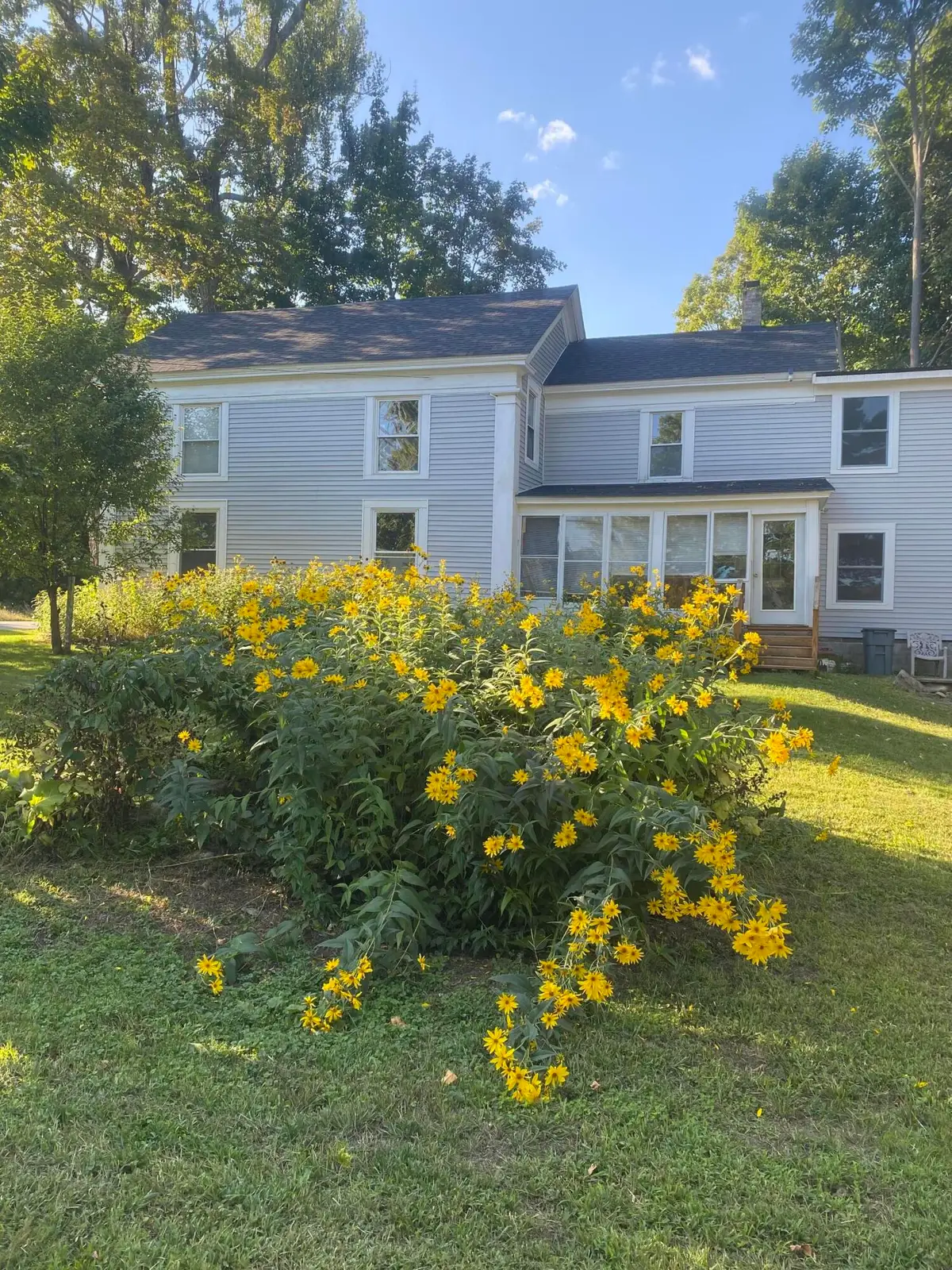 29 Water Street, Newport, ME 04953 - #1