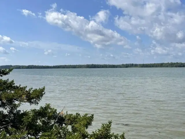 14 Heron Cove Road, Harrington, ME 04643 - #1