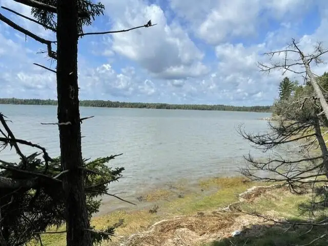 14 Heron Cove Road, Harrington, ME 04643 - #3