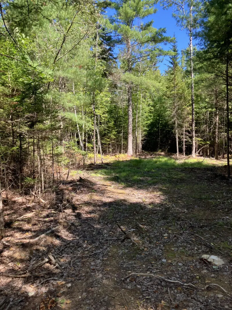 0 Spring Brook Drive, Lincolnville, ME 04849 - #1