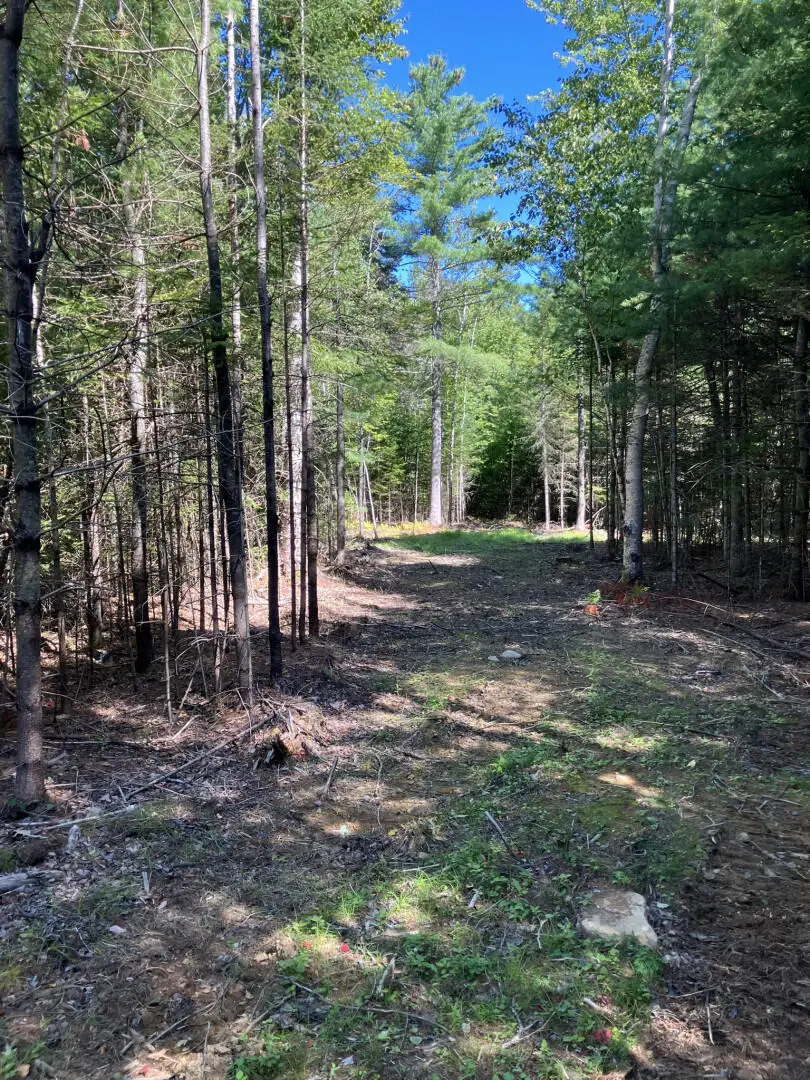 0 Spring Brook Drive, Lincolnville, ME 04849 - #3