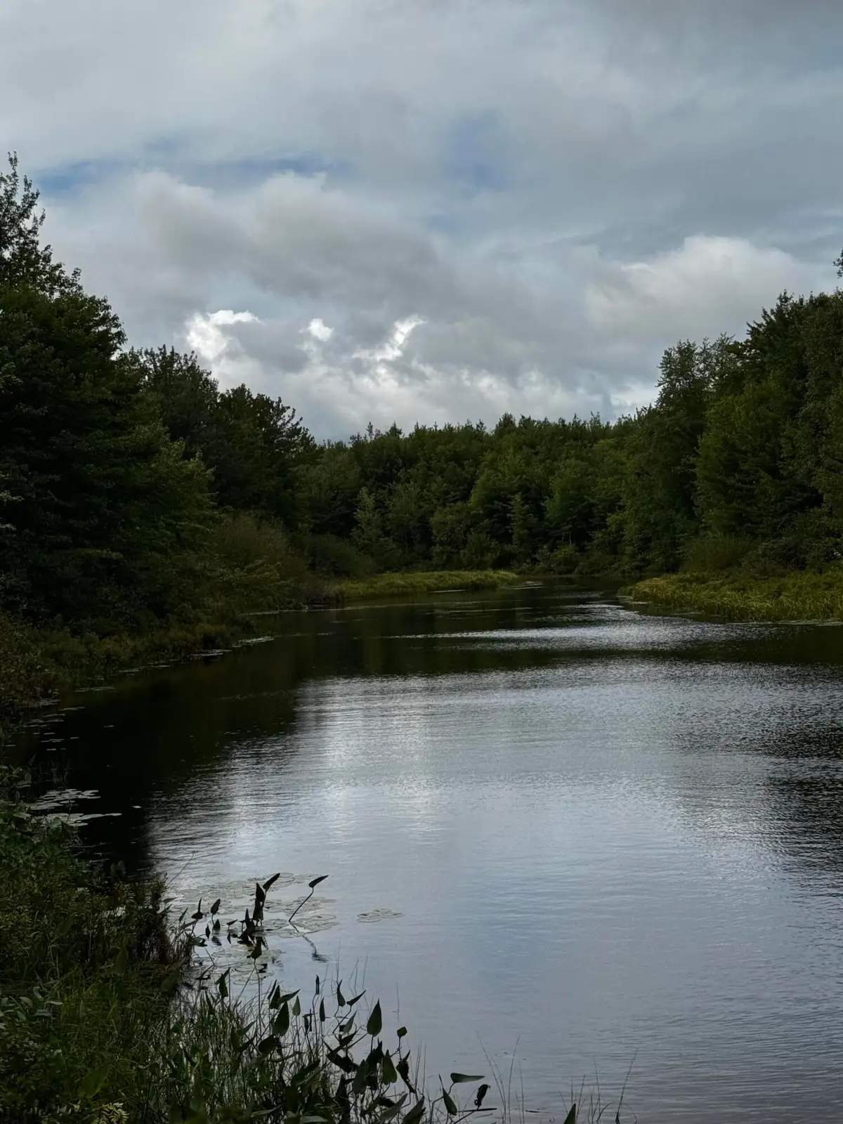#013 Story Road, Cooper, ME 04657 - #1