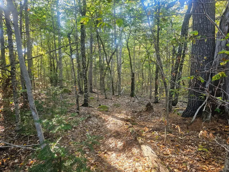 154 Lower Road #LOT 35, Deblois, ME 04622 - #2