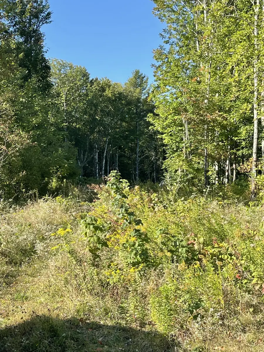 155 N Guilford Road, Monson, ME 04464 - #2