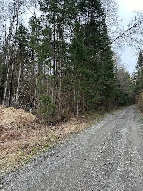 3 Brimstone Road Road, Lagrange, ME 04453 - #1