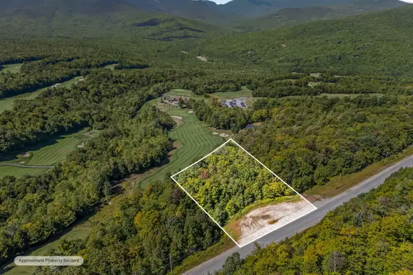 Lot 2 Monkey Brook Road, Newry, ME 04261