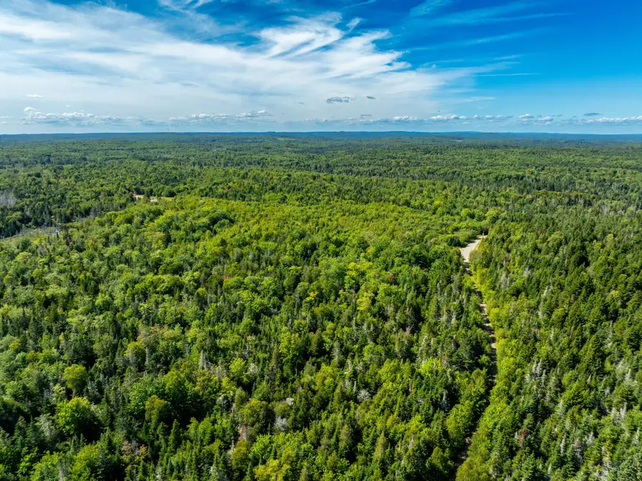 Map 2 Lot 45,46,55, East Central Washington, ME 04652 - #3