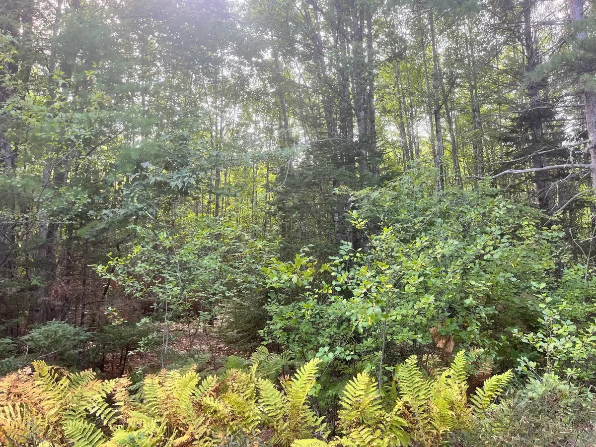 009 Morgan Bay Road, Surry, ME 04684 - #1
