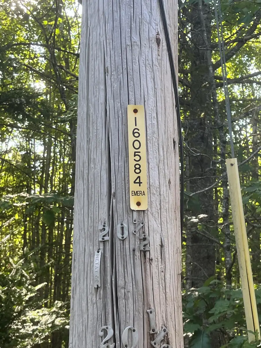 009 Morgan Bay Road, Surry, ME 04684 - #2