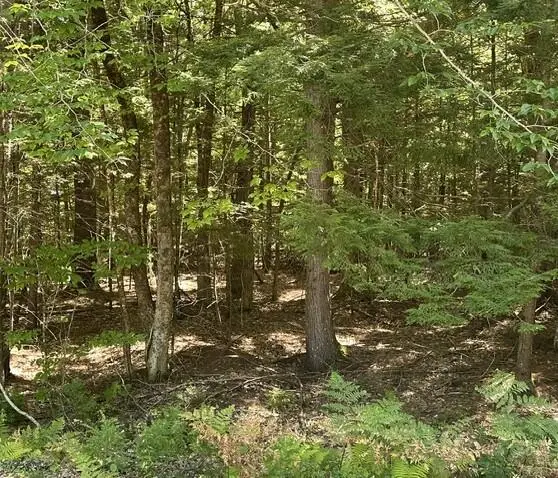 Lot 30 Colonial Circle, Harrison, ME 04040 - #2