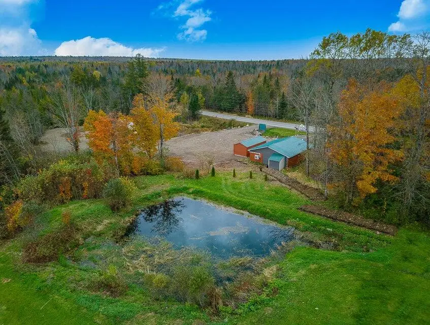 979 Us Route 1, Amity, ME 04471 - #3
