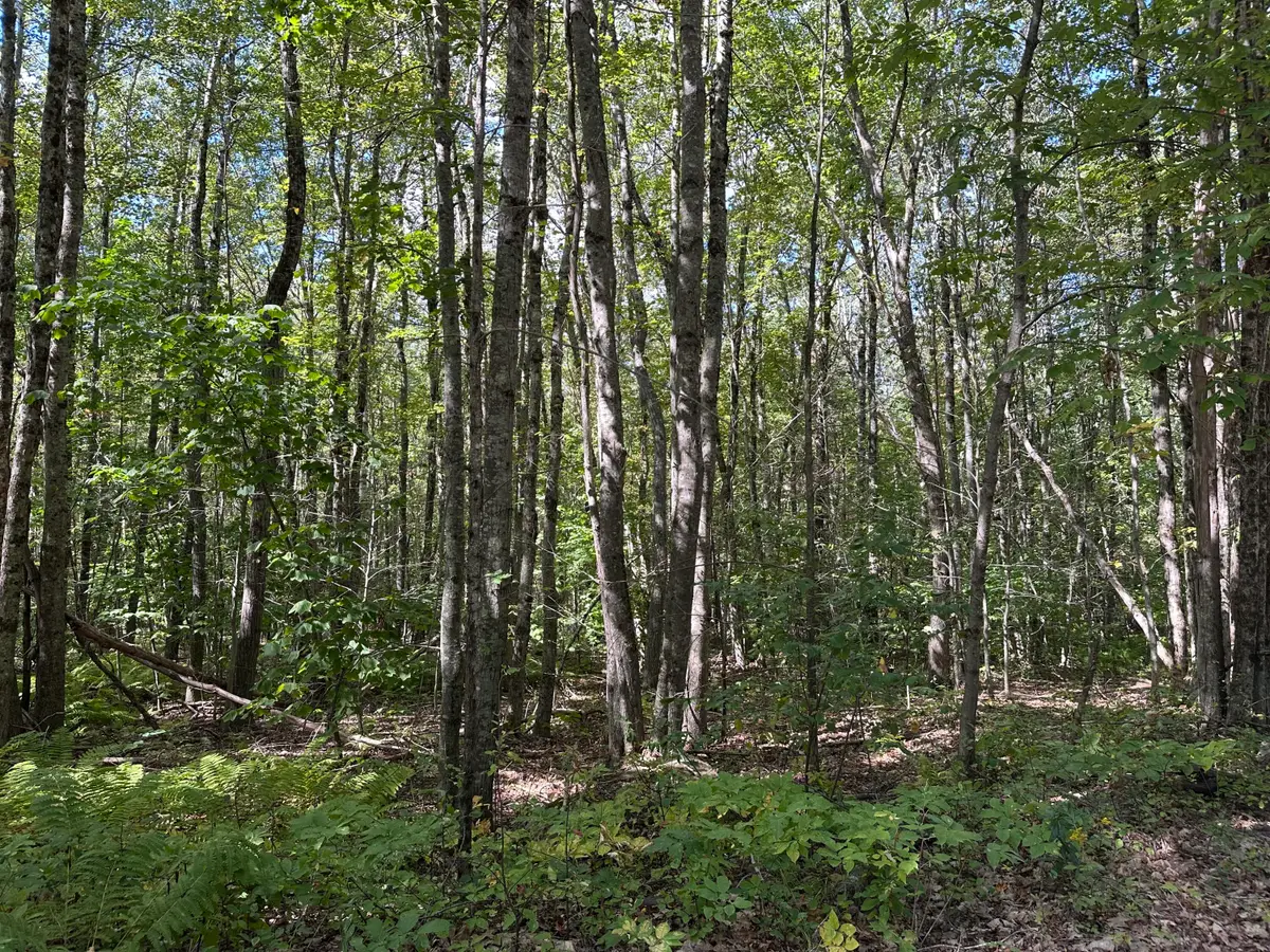 L 35-3 Jones Hill Road, Appleton, ME 04862 - #1