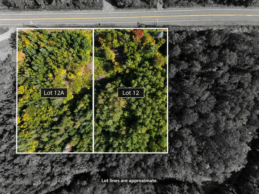 L12 & L12A Lily Bay Road, Greenville, ME 04441 - #2