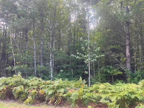 Lot 6 First Street, Bethel, ME 04217