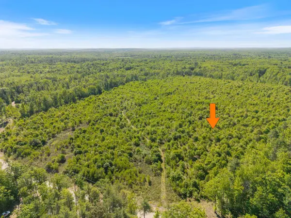 Map 004  Lot 064-4, Hollis, ME 04042