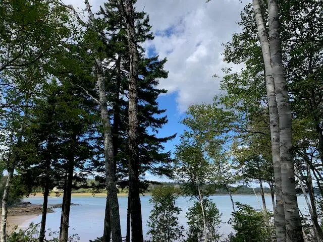 Lot 56 Off Dunns Point Way, Machiasport, ME 04655 - #1