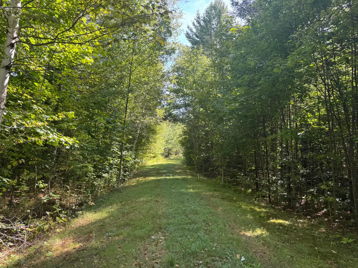 11-1 Frenchs Mill Road, Sangerville, ME 04479 - #1