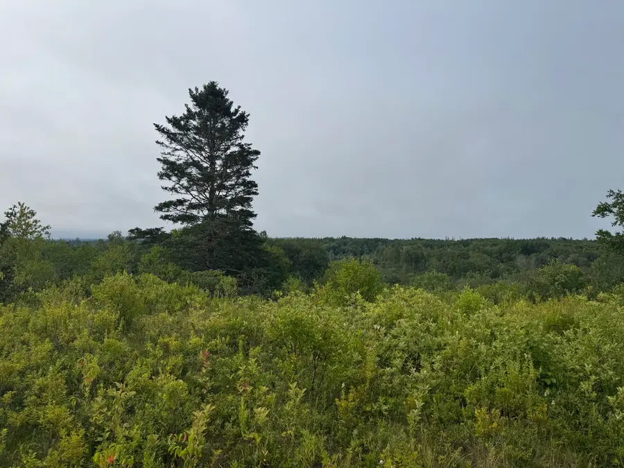 234 Wilcox Road, East Central Washington, ME 04652 - #2