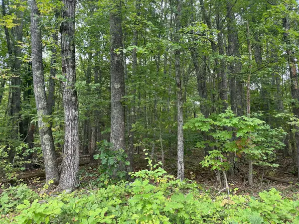 L23-1 Buzzell Hill Road, Hope, ME 04847