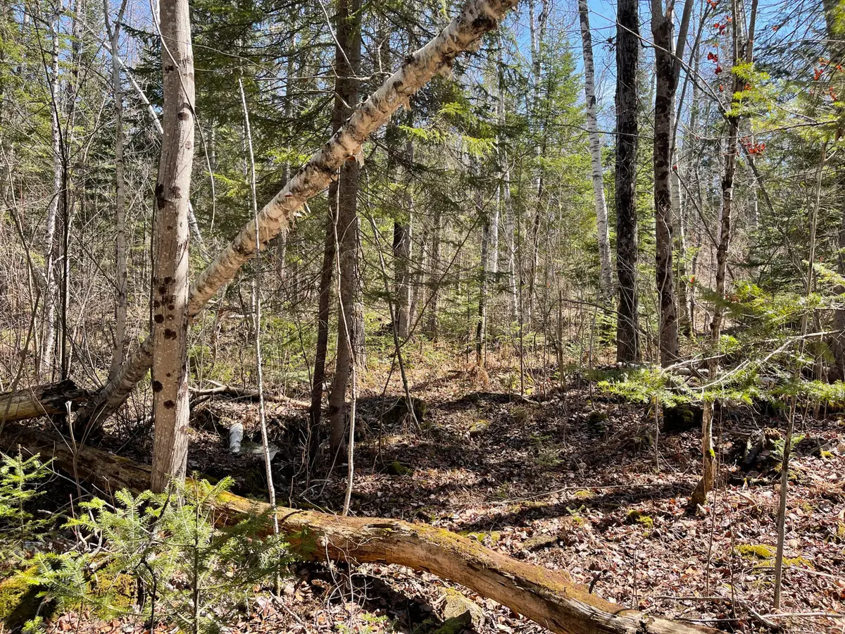 M7 L5 Bemis Road, Rangeley Plt, ME 04970 - #1