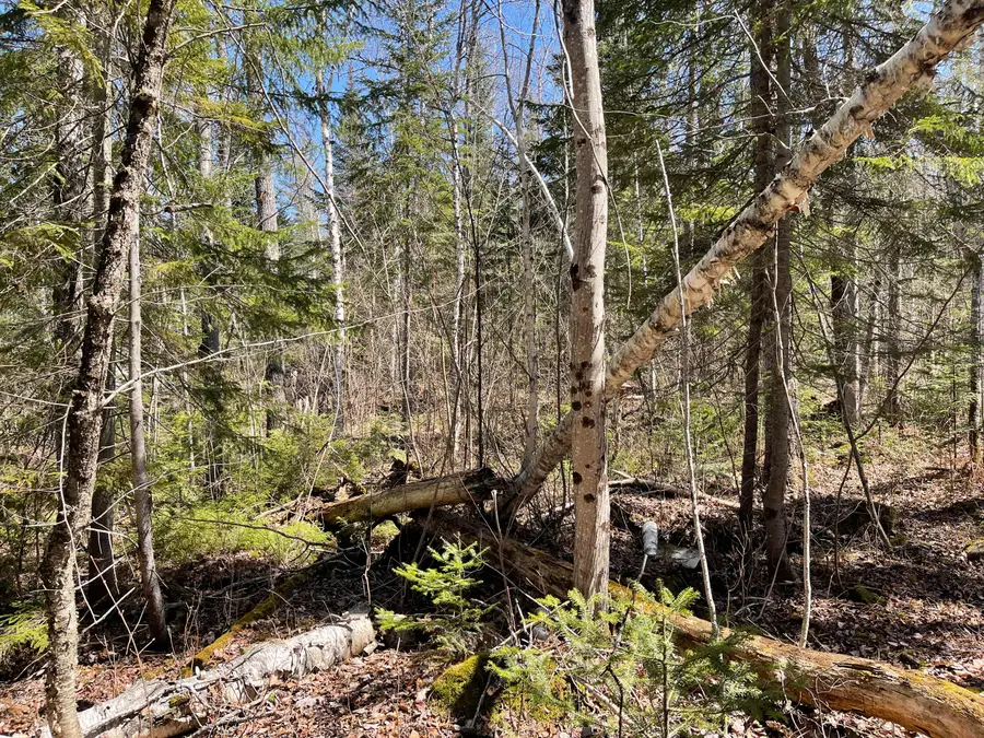 M7 L5 Bemis Road, Rangeley Plt, ME 04970 - #3