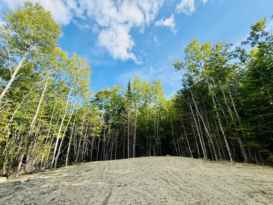 157 Winkumpaugh Road, Orland, ME 04472 - #3