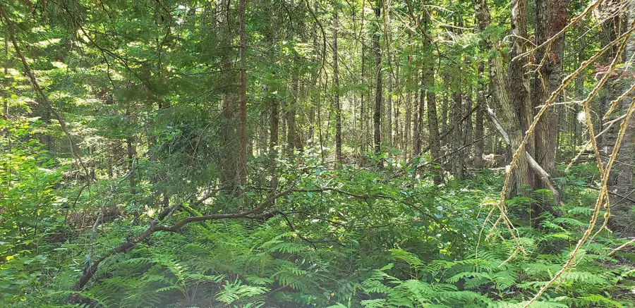 Lot#6 Old County Road, Milo, ME 04463 - #2