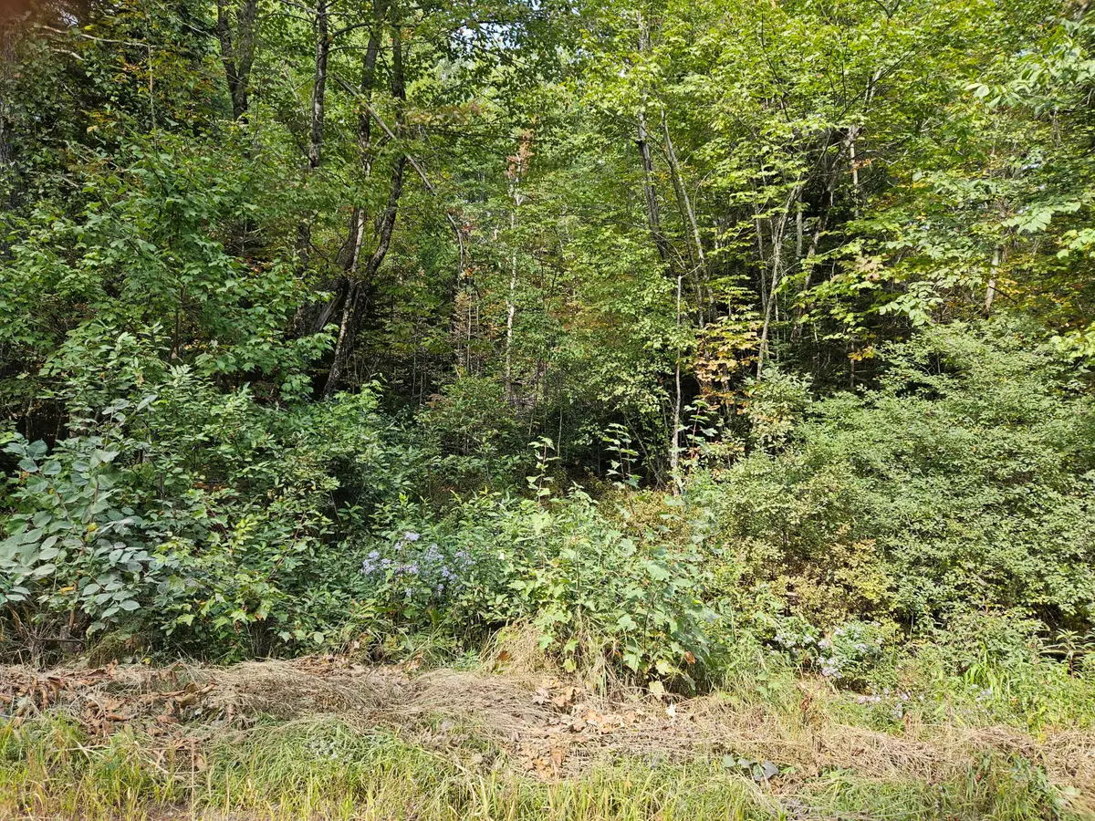 Lot 11.2 Mccorrison Road, Southeast Piscataquis, ME 04463 - #1