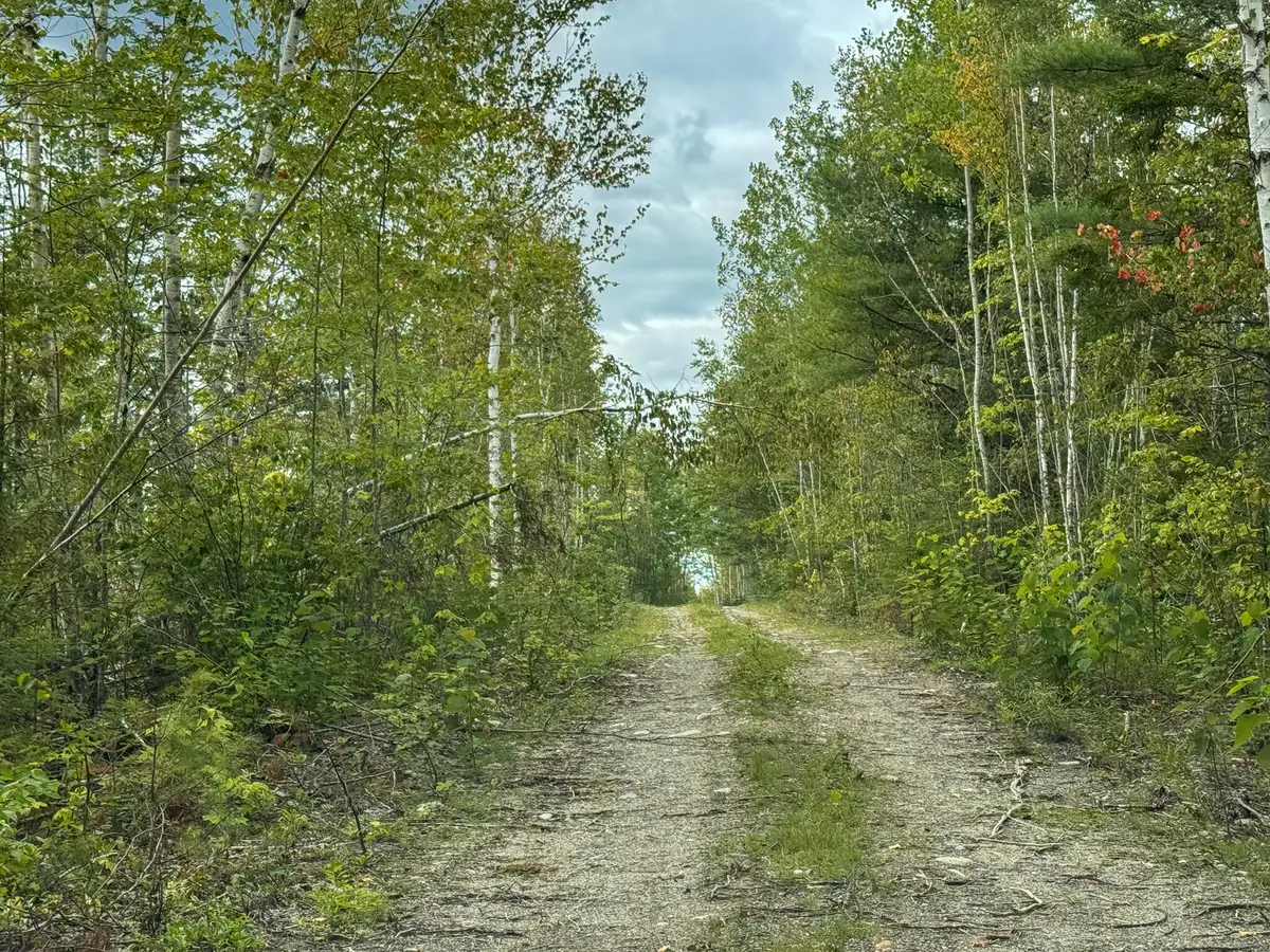 Lots 17+18 Junior Williams Road, Wesley, ME 04686 - #1