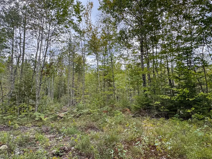 Lots 17+18 Junior Williams Road, Wesley, ME 04686 - #2