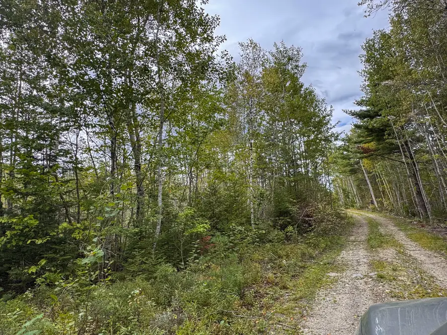 Lots 17+18 Junior Williams Road, Wesley, ME 04686 - #3