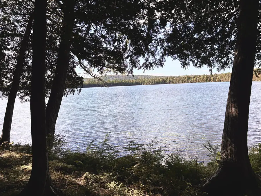 Lot 02 Flat Iron Pond Road Road, North Penobscot, ME 04462 - #2