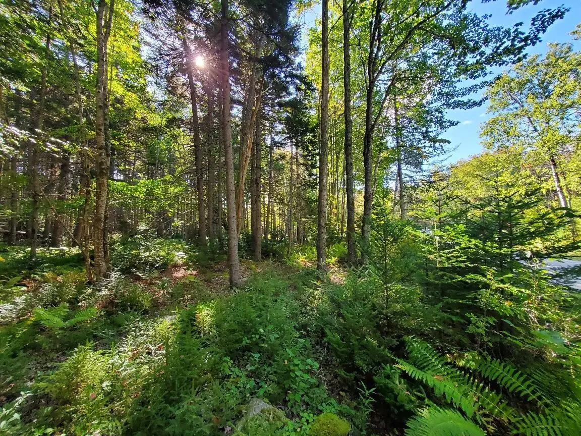 0 Reach And Folly Roads, Brooklin, ME 04616 - #1