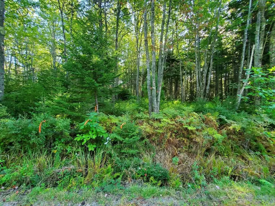 0 Reach And Folly Roads, Brooklin, ME 04616 - #2