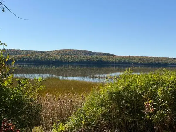 Lot #38 290 Fire Lane, Sinclair, ME 04779