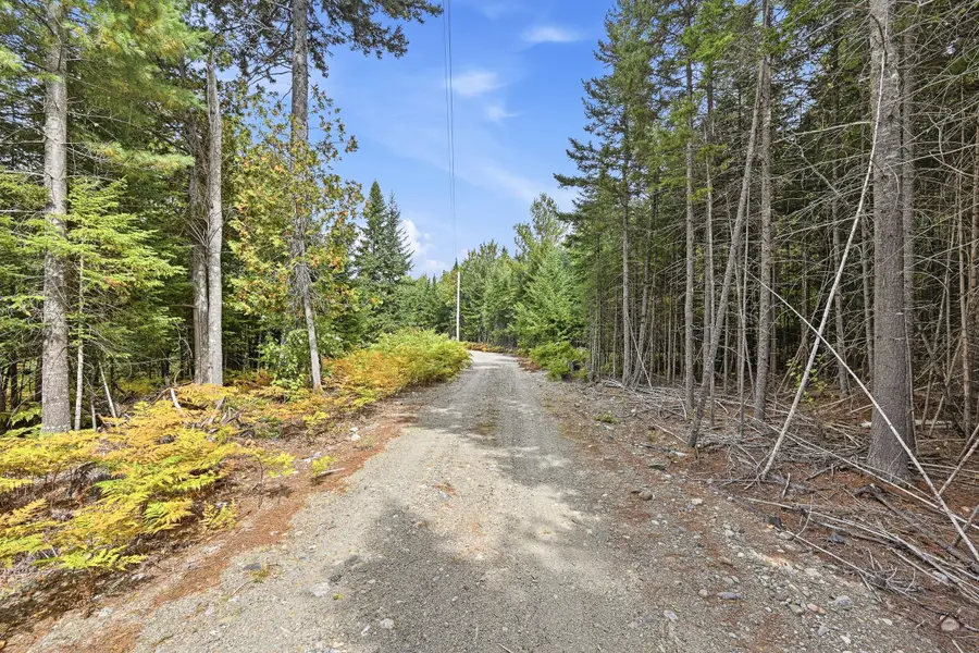Lot F Stephensons Road, Coplin, ME 04982 - #2