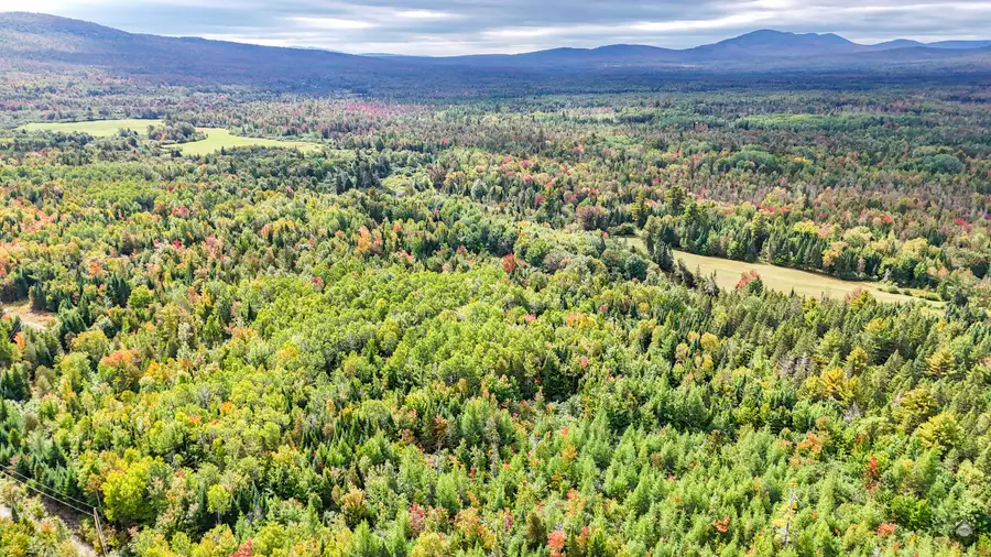 Lot G Stephensons Road, Coplin, ME 04970 - #2